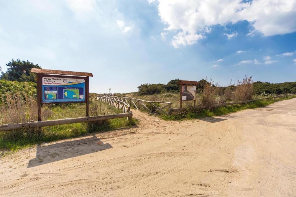 Villa Spiaggia Degli Angeli Порто-Чезарео Екстер'єр фото
